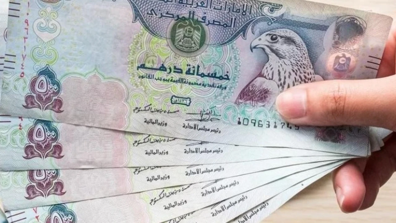 سعر الدرهم الإماراتي في مصر اليوم السبت 18 يوليو